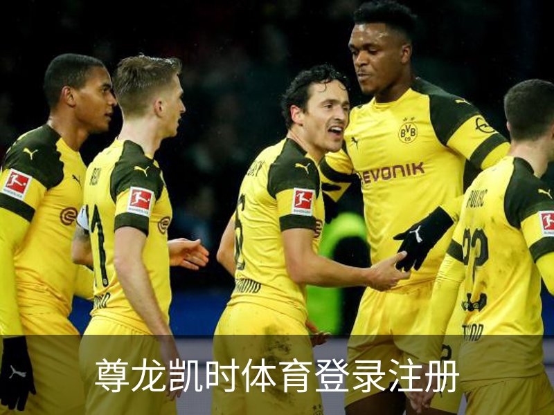 了解尊龙凯时体育登录注册